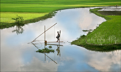 Bangladesh_Fishing_2006
