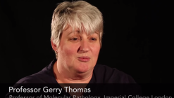 Screen Shot 2025-05-04 at 00.50.47