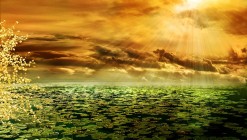 sunbeam-292987_960_720